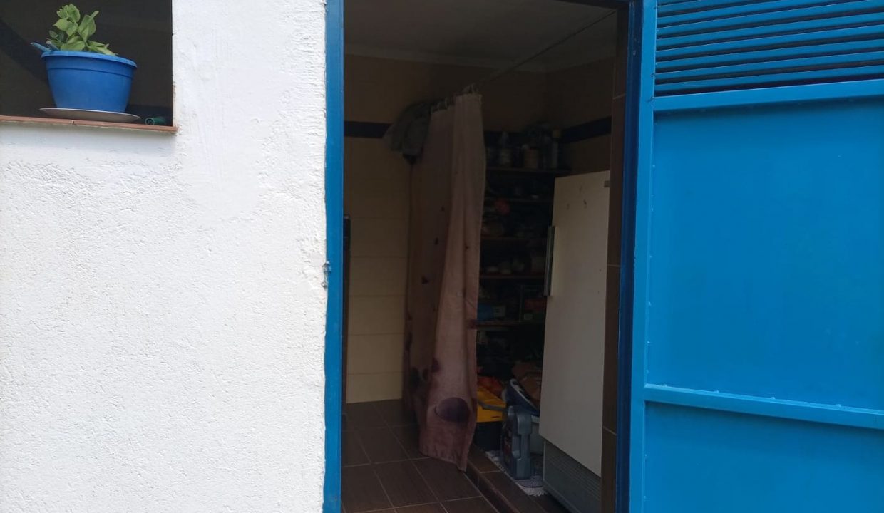 240812986_273168364296332_7718631181432219223_n